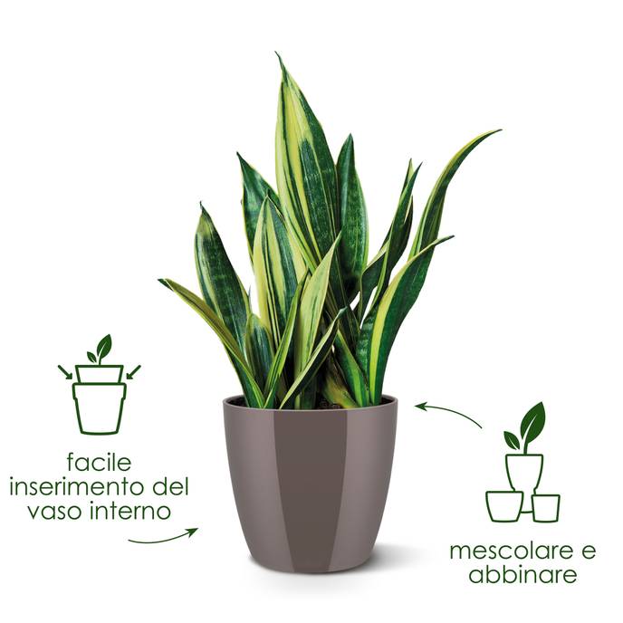 brussels diamond round 22cm white